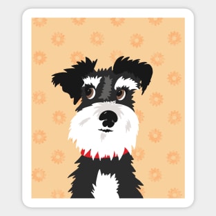 Black and White Miniature Schnauzer Dog with Orange Daisies Sticker